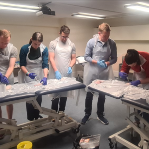 SOMM Injection Therapy CPD day – One-day course